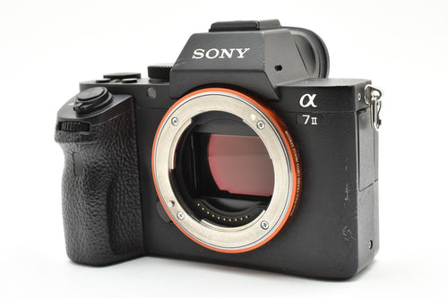 Mirrorless Interchangeable Lips Sony 7M2