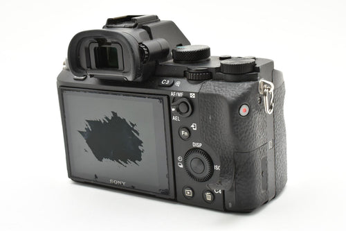 Mirrorless Interchangeable Lips Sony 7M2