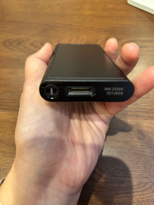 Sony Digital Audio Players Nw-Zx300 64Gb