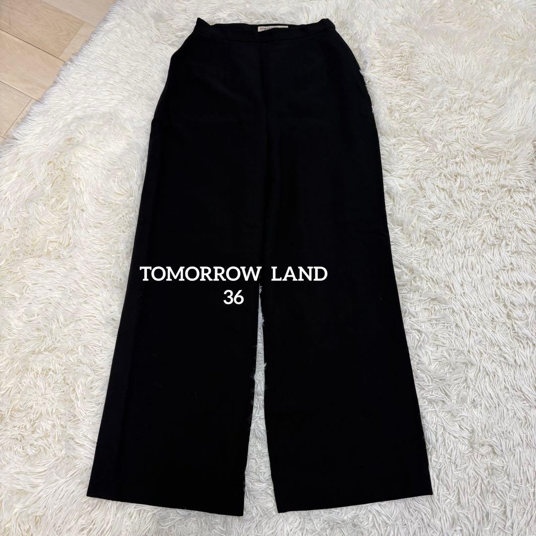 Tomorrowland Wide Pants/Easy Pants 36