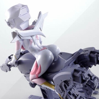 S.H.Figuarts Others
