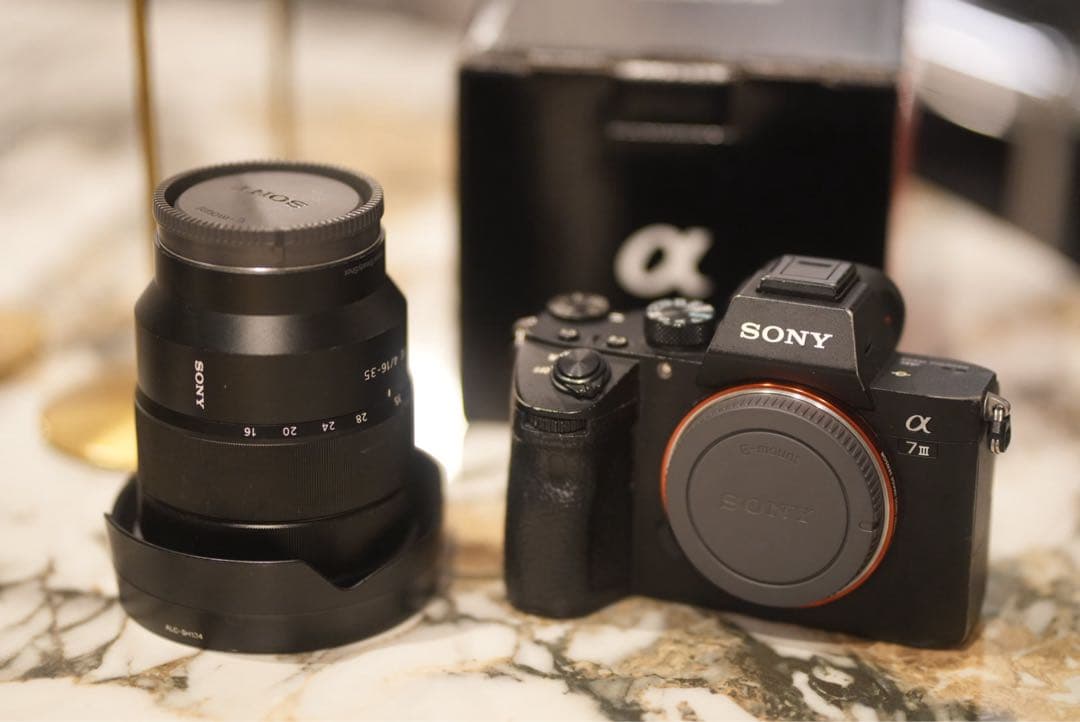 Sony Mirrorless Interchangeable Lips 7