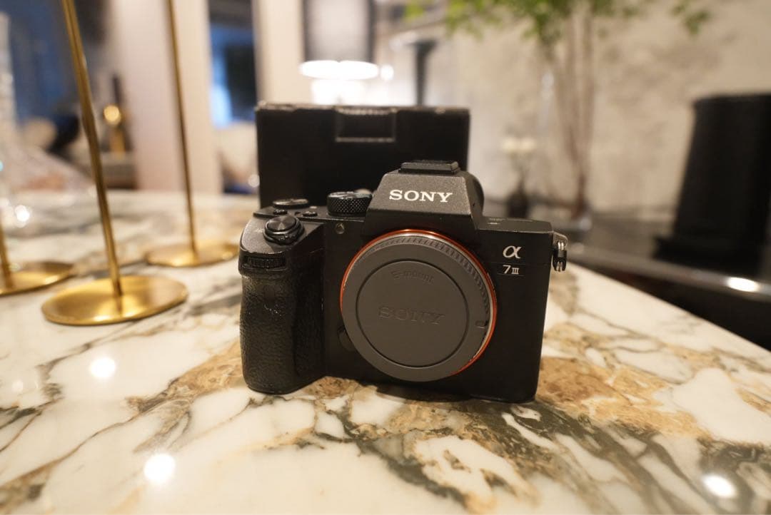 Sony Mirrorless Interchangeable Lips 7