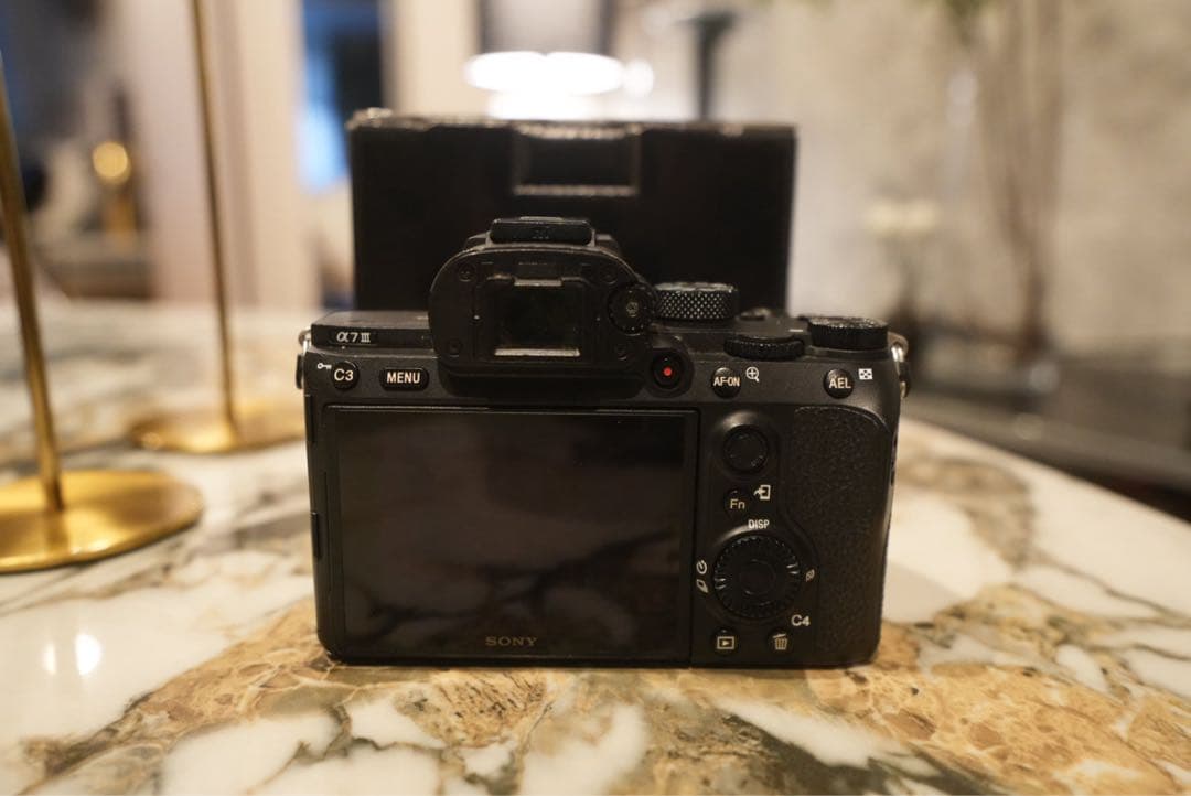 Sony Mirrorless Interchangeable Lips 7