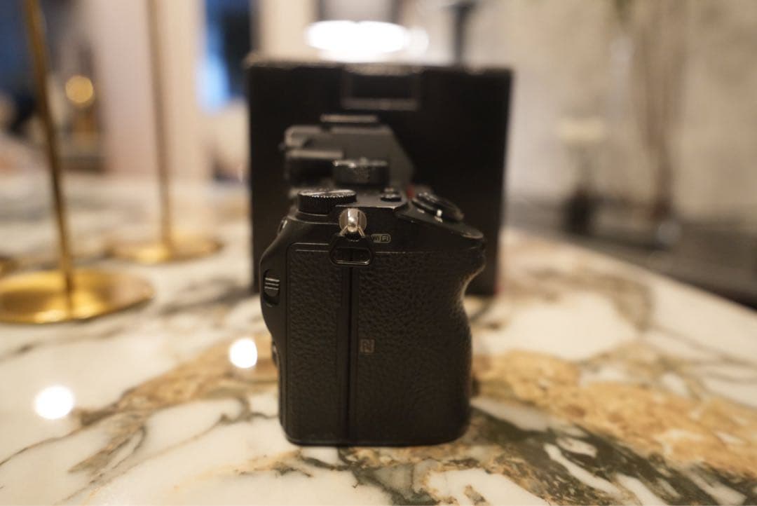 Sony Mirrorless Interchangeable Lips 7