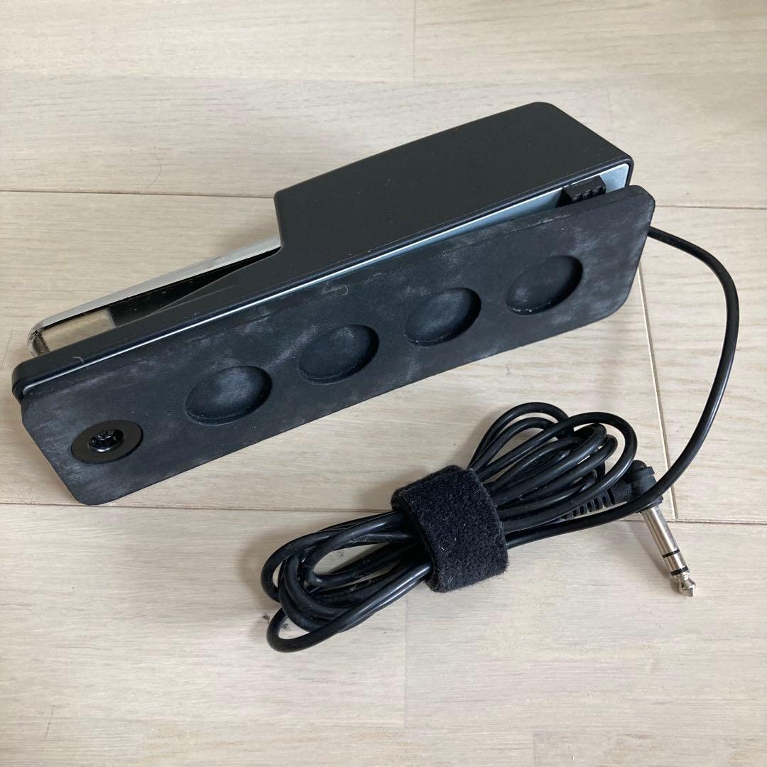 Roland Others Dp-10