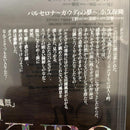 Other Cd