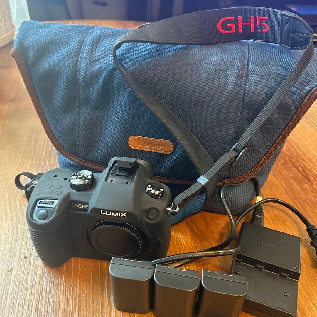 Panasonic Mirrorless Interchangeable Lens Cameras Lumix Gh5