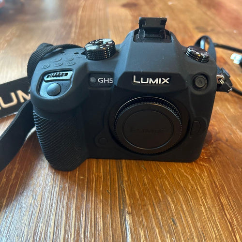 Panasonic Mirrorless Interchangeable Lens Cameras Lumix Gh5