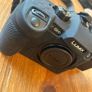 Panasonic Mirrorless Interchangeable Lens Cameras Lumix Gh5