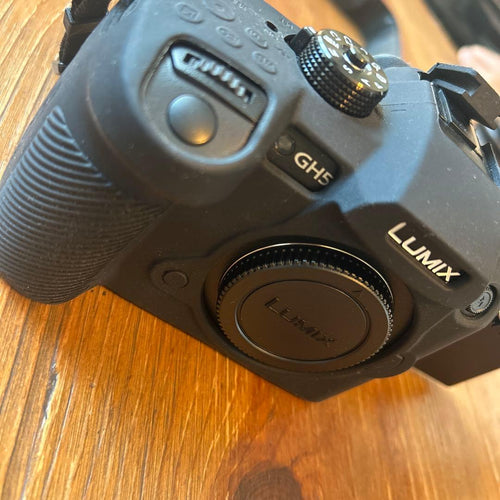 Panasonic Mirrorless Interchangeable Lens Cameras Lumix Gh5
