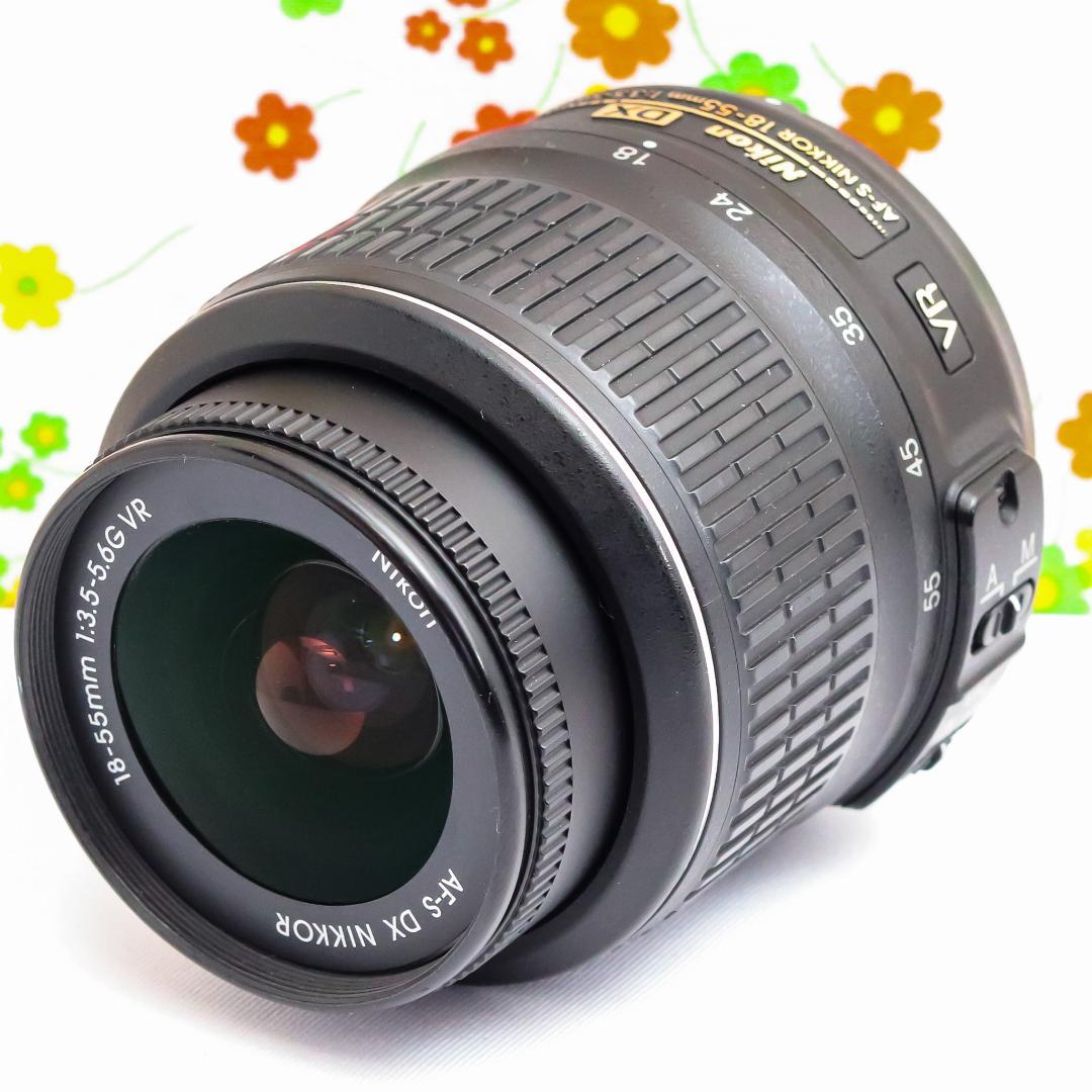 Nikon Digital Slrs D3100