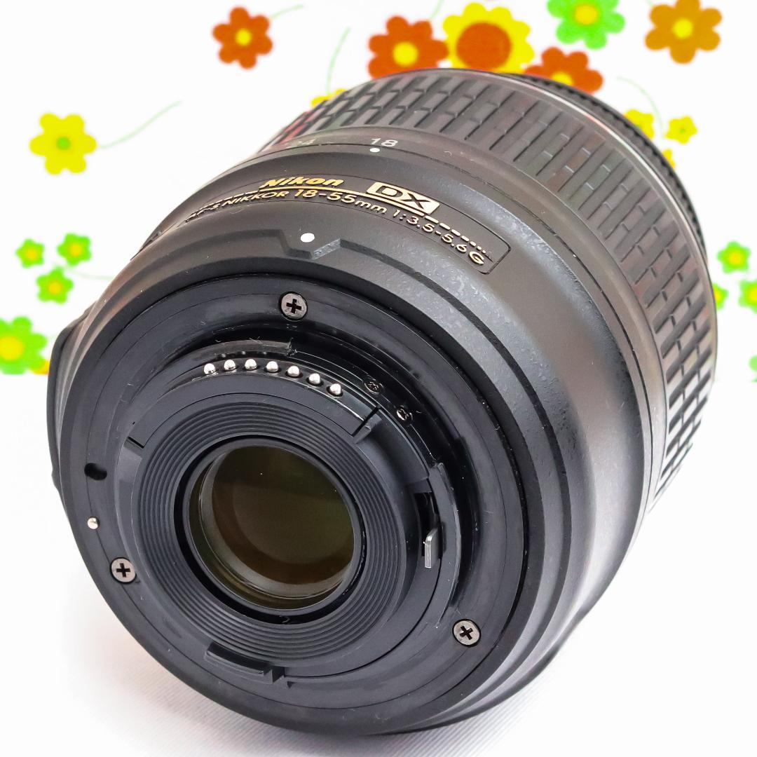 Nikon Digital Slrs D3100