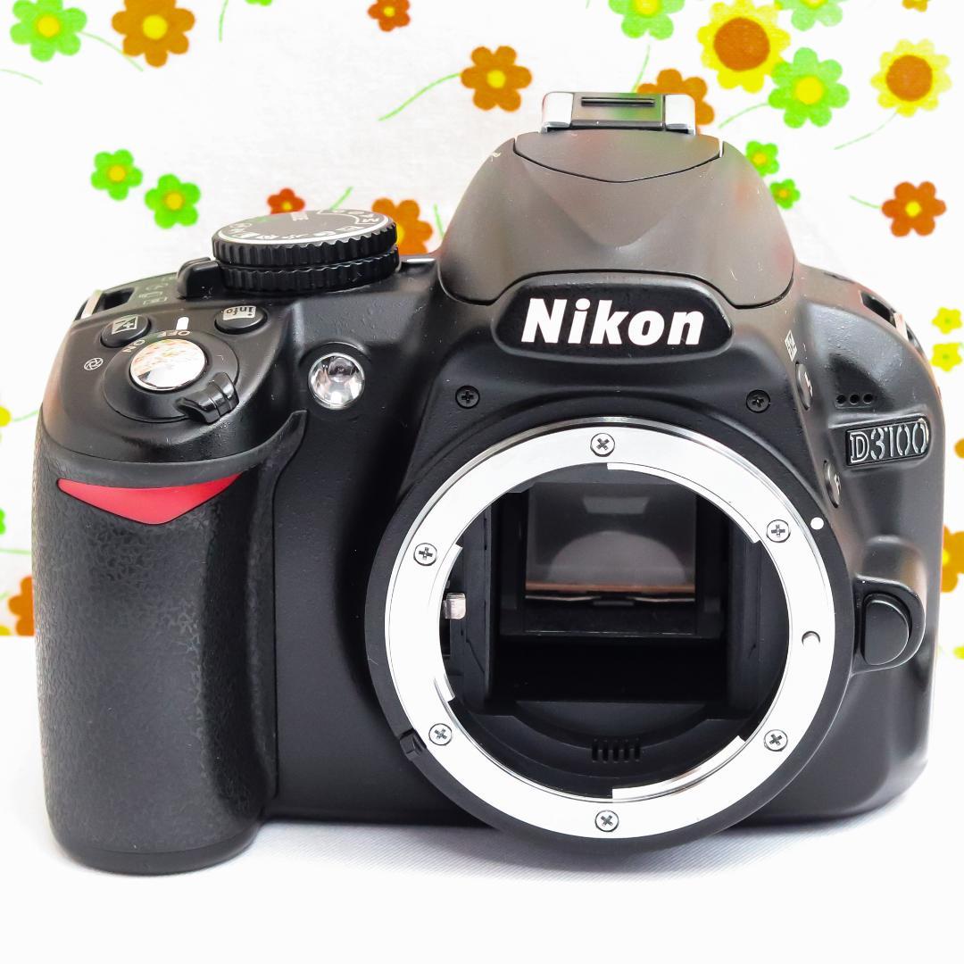 Nikon Digital Slrs D3100