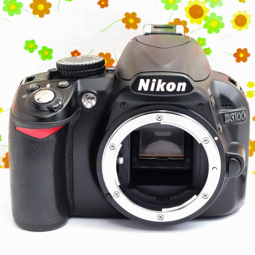 Nikon Digital Slrs D3100