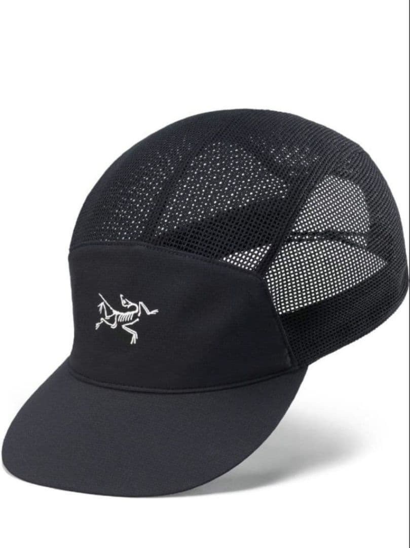 Arc'Teryx Other Elaho Cap L/Xl