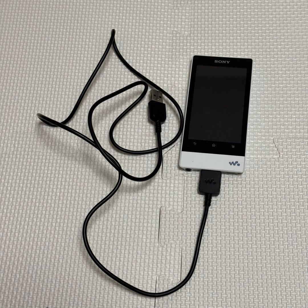 Sony Digital Audio Players Nw-F807