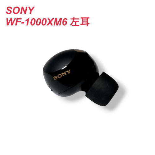 Sony Wireless Earphones Wf-1000Xm5 L