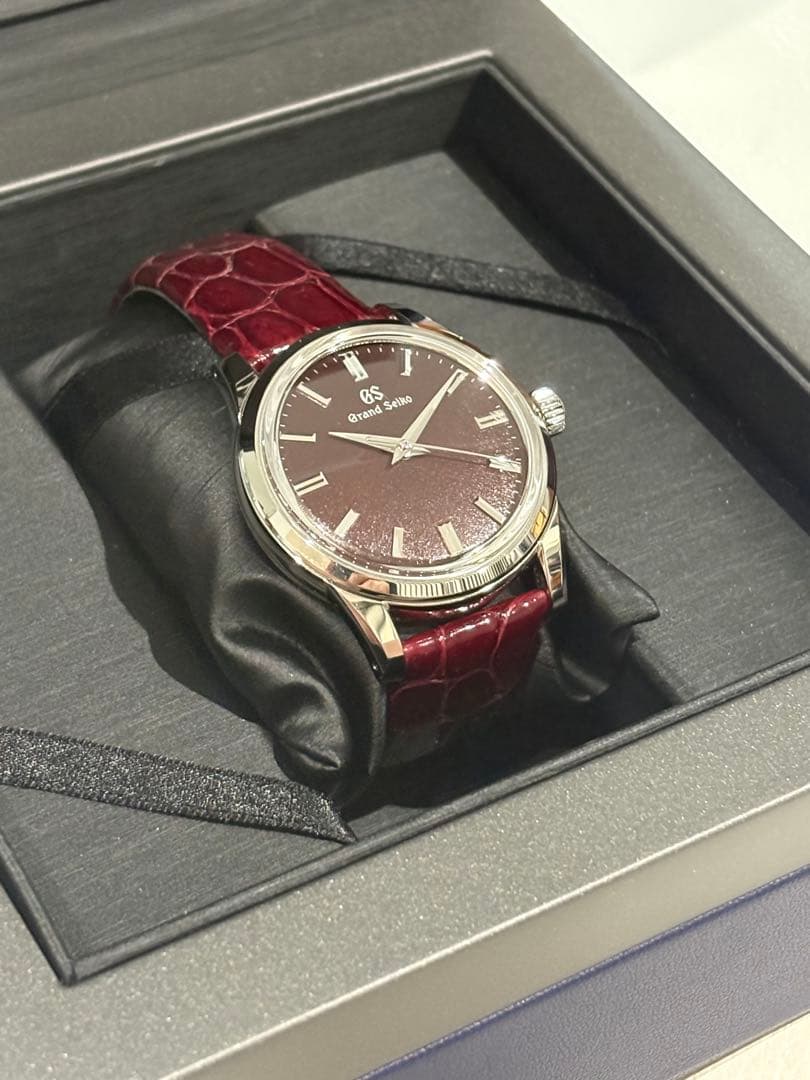 Grand Seiko Automatic Watches Sbgw287 Gs