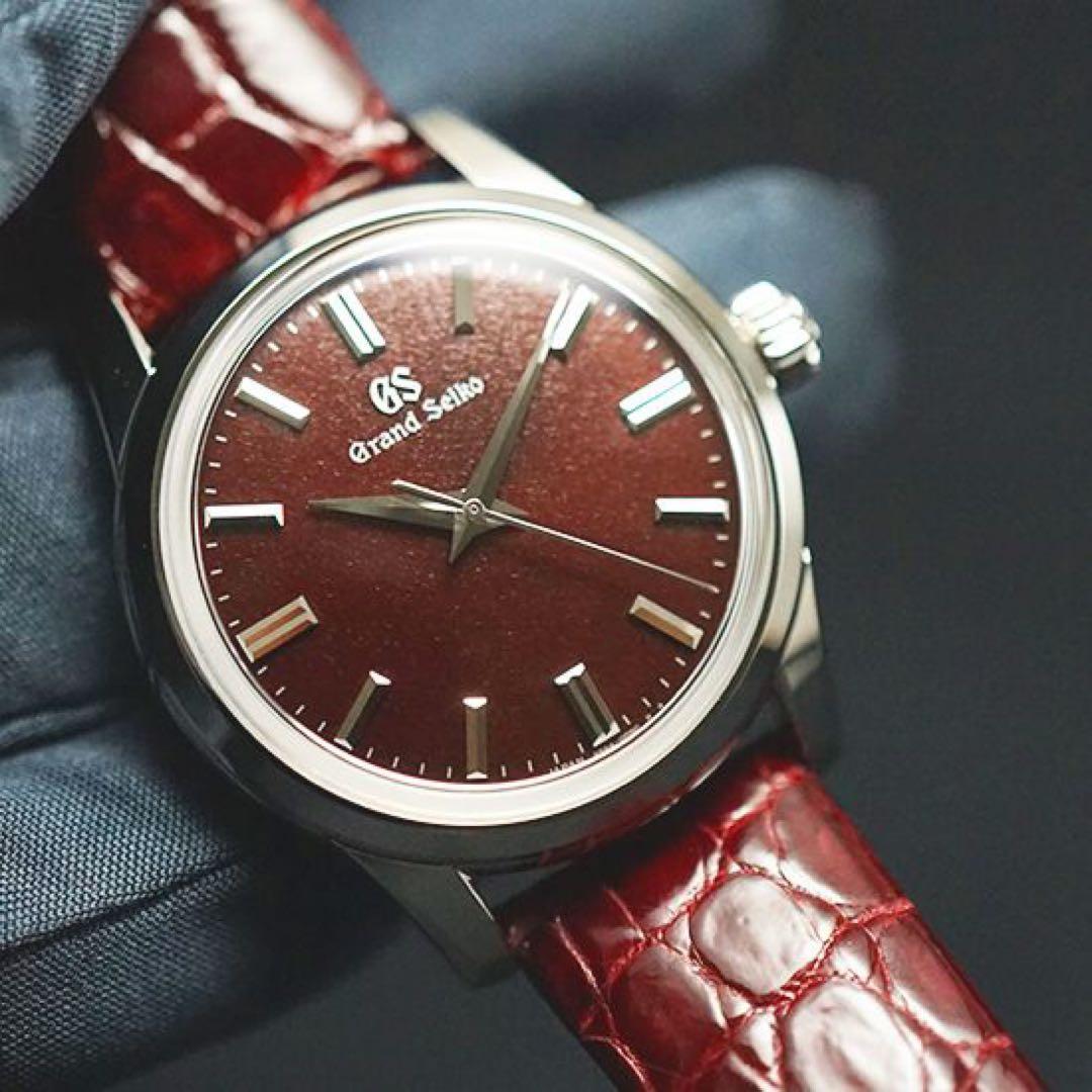 Grand Seiko Automatic Watches Sbgw287 Gs