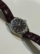 Grand Seiko Automatic Watches Sbgw287 Gs
