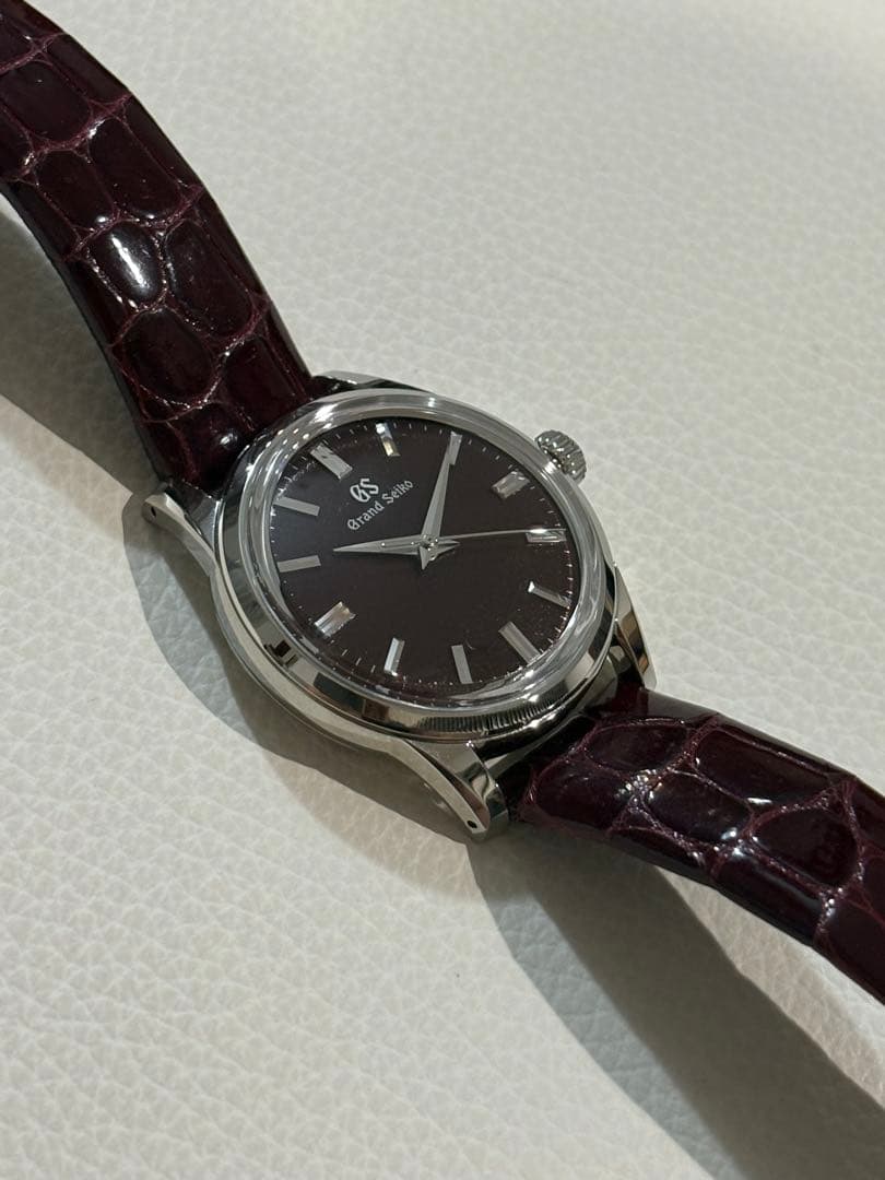 Grand Seiko Automatic Watches Sbgw287 Gs