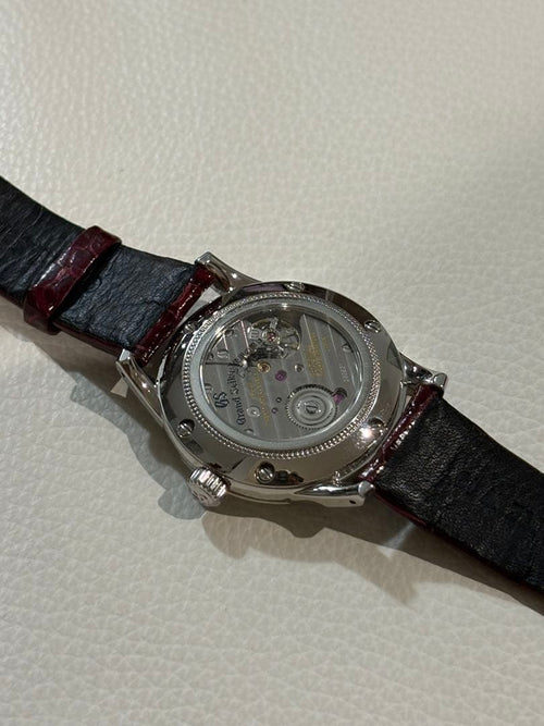 Grand Seiko Automatic Watches Sbgw287 Gs