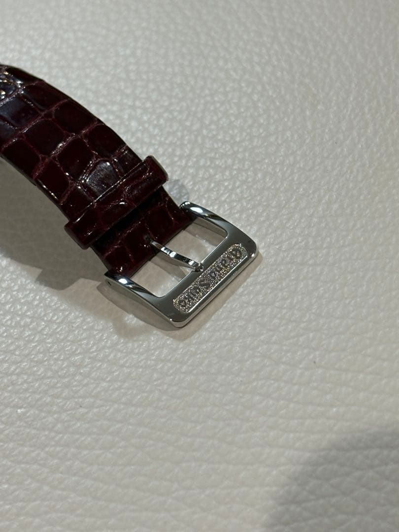 Grand Seiko Automatic Watches Sbgw287 Gs