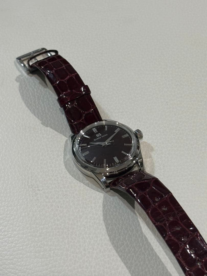Grand Seiko Automatic Watches Sbgw287 Gs