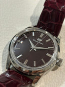 Grand Seiko Automatic Watches Sbgw287 Gs