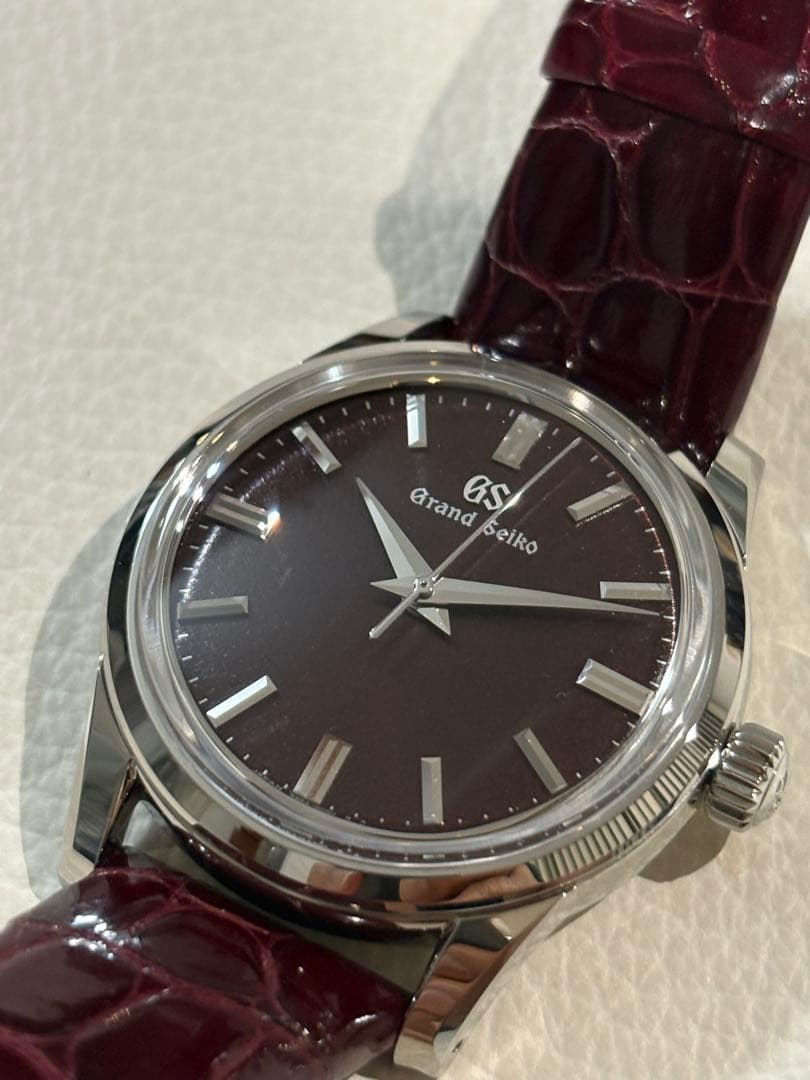 Grand Seiko Automatic Watches Sbgw287 Gs
