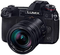 Digital Slr G9 Dg Dc-G9L-K