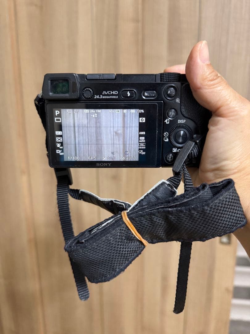 Sony Mirrorless Interchangeable Lips 6000