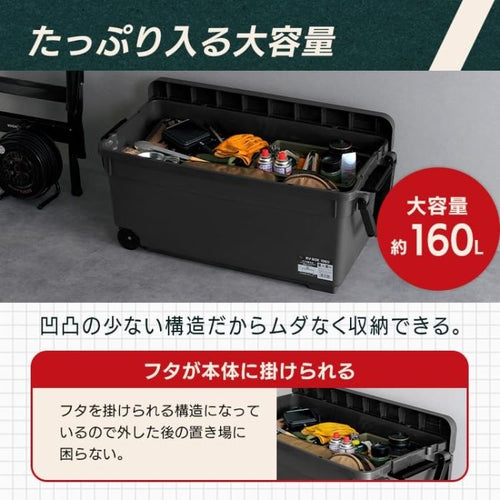 Others 2 Irisohyama Iris 202029 Rvbox1000 (Rv1000Rh 1256)