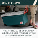 Others 2 Irisohyama Iris 202029 Rvbox1000 (Rv1000Rh 1256)