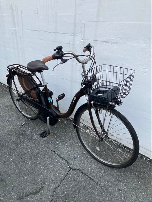 City-Style Bicycles 1909 12