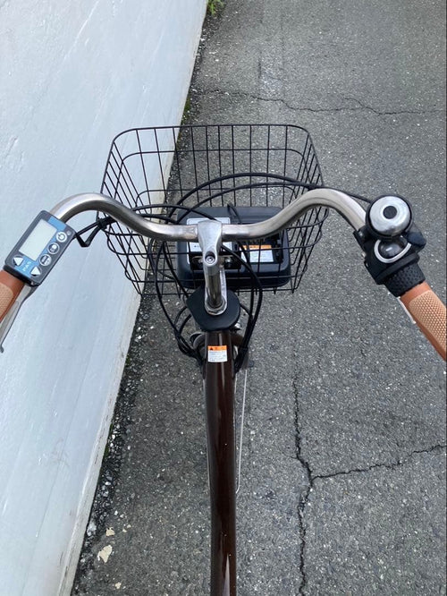 City-Style Bicycles 1909 12