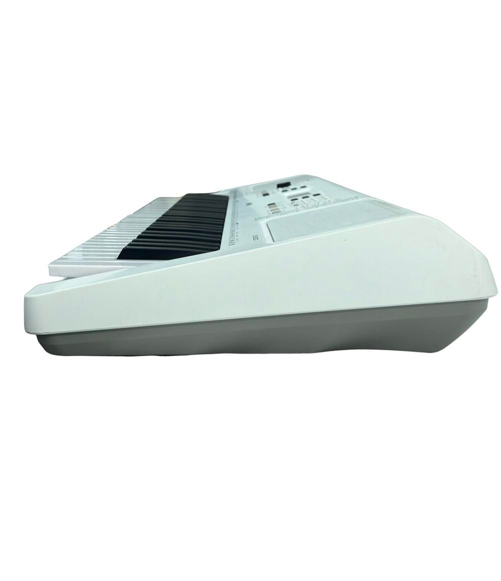 Yamaha Others Ez-300