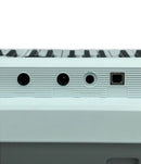 Yamaha Others Ez-300
