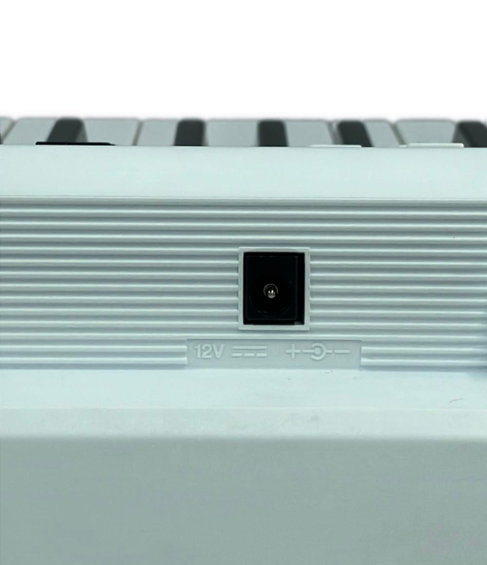 Yamaha Others Ez-300