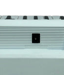 Yamaha Others Ez-300