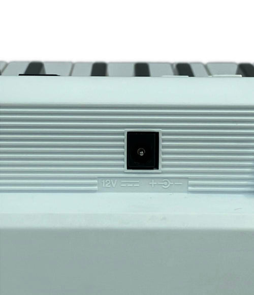 Yamaha Others Ez-300