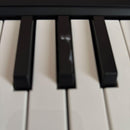 Korg Midi Keyboards Pads Micro Key 22
