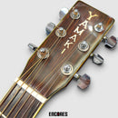 Acoustic Guitars Yamaki Yw-30