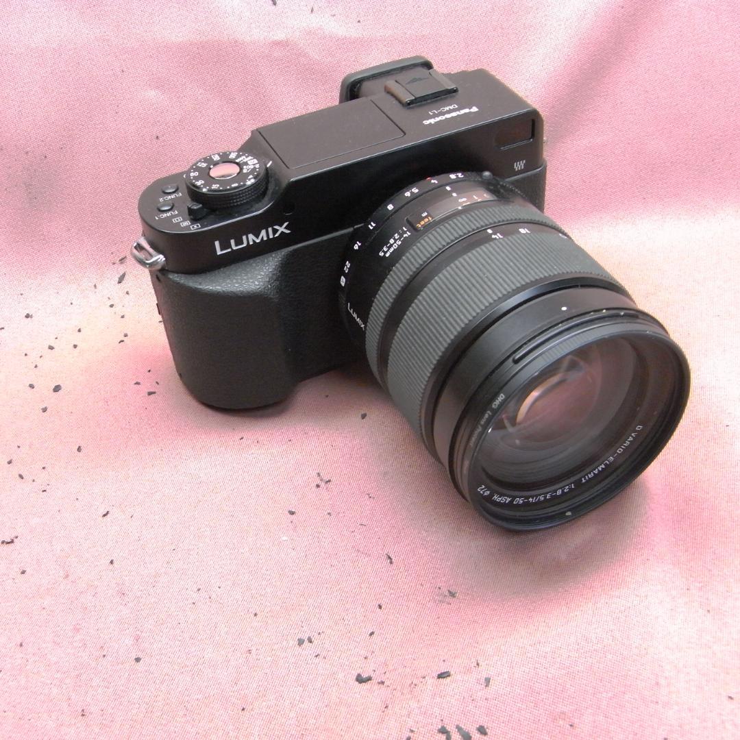 Panasonic Digital Slrs D Dmc.L1K Black