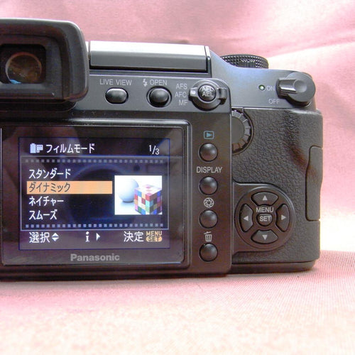 Panasonic Digital Slrs D Dmc.L1K Black