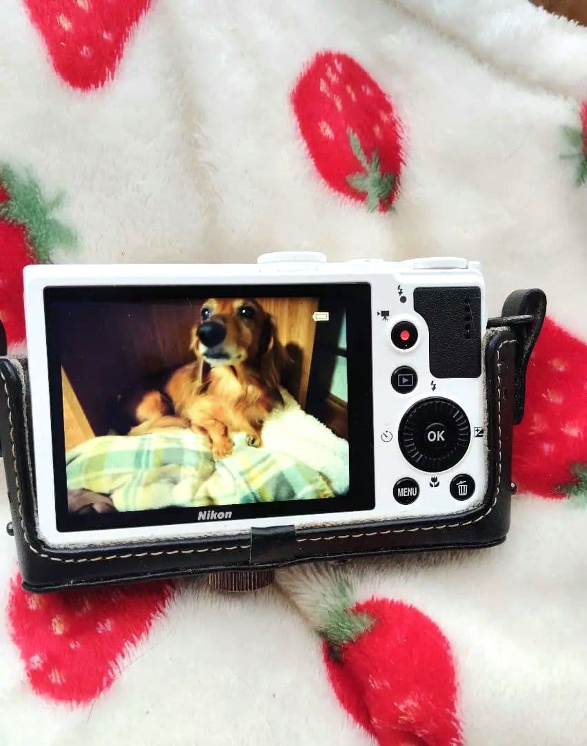 Nikon Compact Digital Camera Coolpix P310