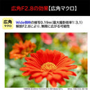 Tamron Others E 28-200Mm F/2.8-5.6 Di Iii Rxd (Model A071)