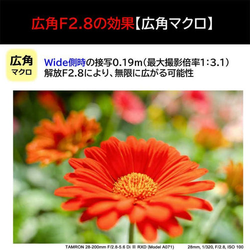 Tamron Others E 28-200Mm F/2.8-5.6 Di Iii Rxd (Model A071)