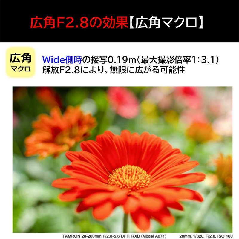 Tamron Others E 28-200Mm F/2.8-5.6 Di Iii Rxd (Model A071)